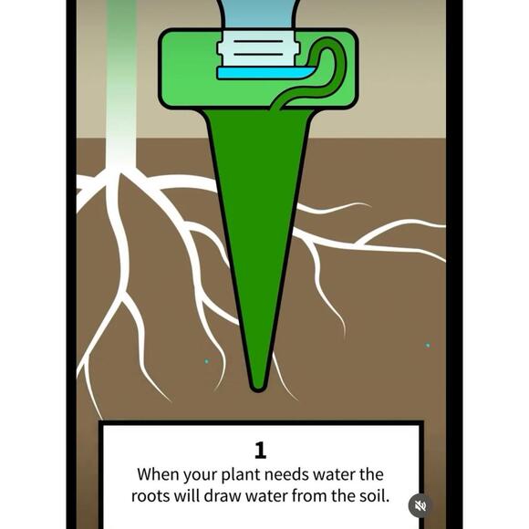Other - Plant Watering Device - Self‎ Watering Spike And Bottle
